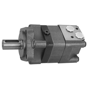 Motor Hidrolik BM3-100P10AY2/T21 (Analog MS 100CM)