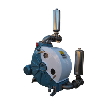 Nasos peristaltik Evo Pumps Ragazzini