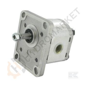 Pompa gigi Casappa seri Polaris PLP10.8 D0-81E1-LBB/BA