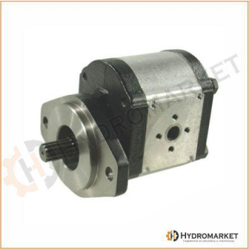 Pompa gigi Casappa seri Polaris PLP20.25D0-03S2-LEB/EA-N.