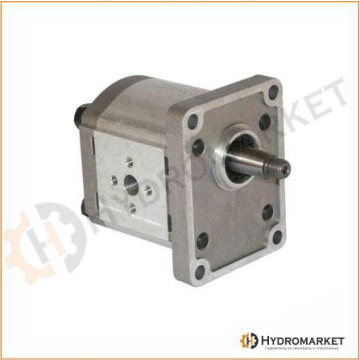 Pompa gigi Casappa seri Polaris PLP2031D082E2 Pompa PLP20.31,5D0-82E2-LEB/EA.