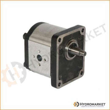 Pompa gigi Casappa seri Polaris PLP30.82-D0 84-E4 LEF/ED.