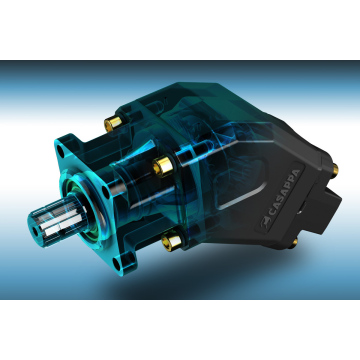 Nerupaya pompa sumur dangkal sumur sumur sumur sumur BAP3263D001 pompa BAP32.63-D-16Z0-P-GF/GE-N