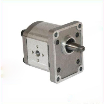 Pompa gigi Casappa seri Polaris PLP103D081E1 Pompa PLP10.3,15 D0-81E1-LBB/BA