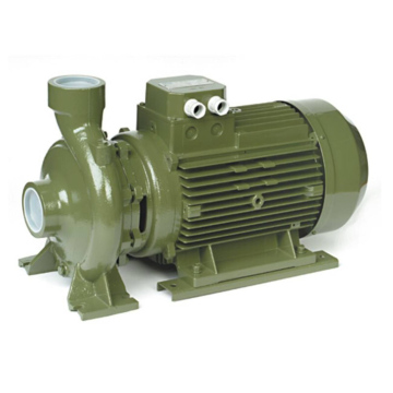 Pompa sentrifugal Evo Pumps Saer